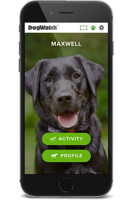 DogWatch of the Triangle, Garner, North Carolina | SmartFence WebApp Image