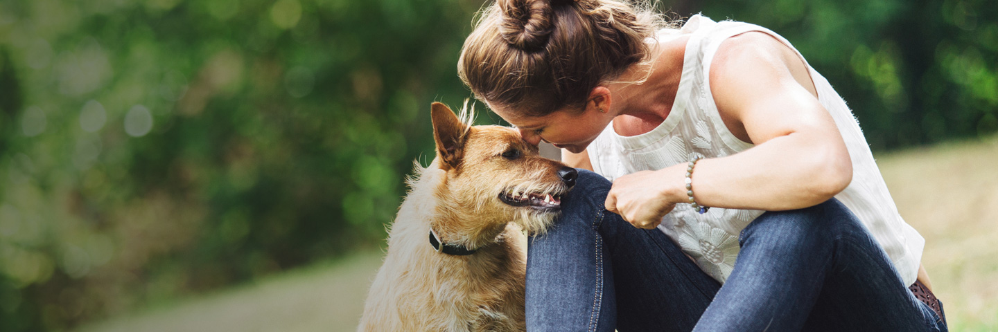 DogWatch of the Triangle, Garner, North Carolina | BarkCollar No-Bark Trainer Slider Image