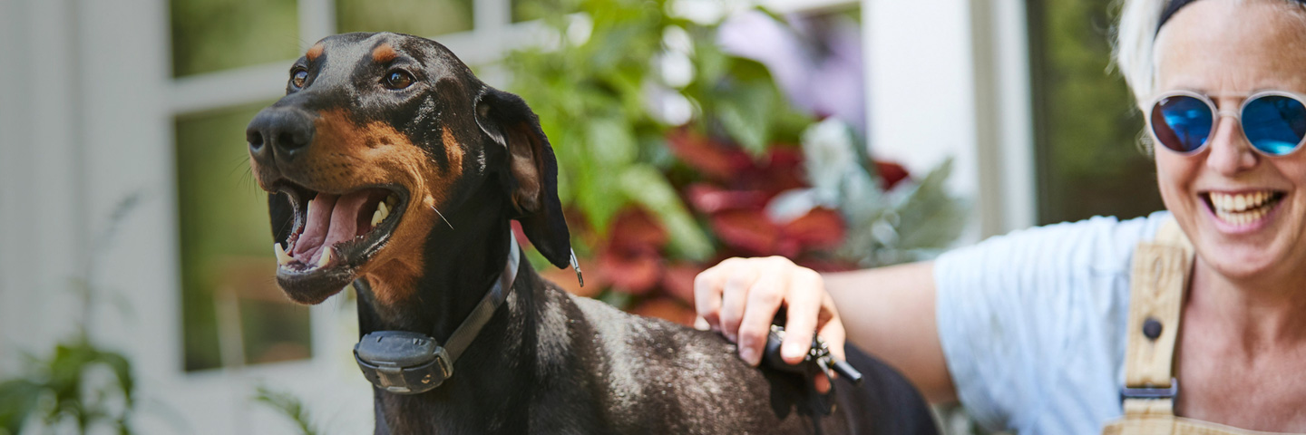 DogWatch of the Triangle, Garner, North Carolina | Remote Dog Training Collars Slider Image